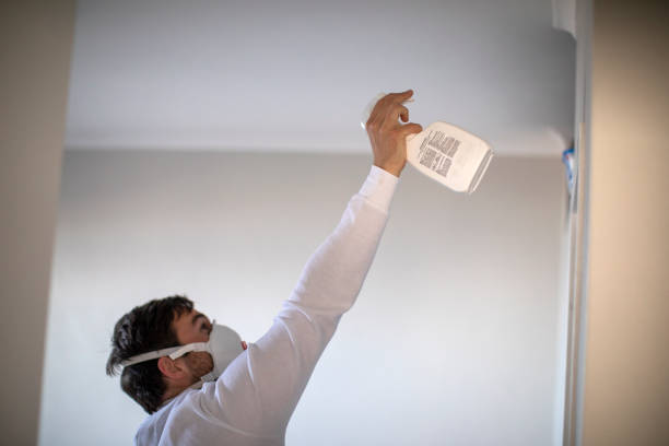Best Mold Inspection  in Shorewood, IL
