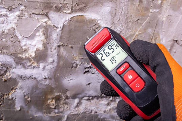 Best Mold Remediation  in Shorewood, IL