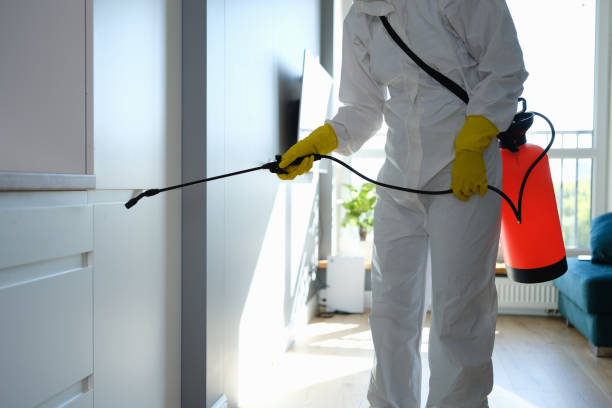 Best Residential Mold Removal  in Shorewood, IL