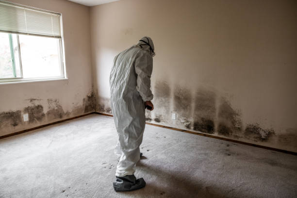 Water Damage Restoration in Shorewood, IL